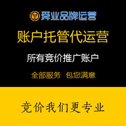 山东专业济南360竞价推价格 山东专业济南360竞价推型号规格